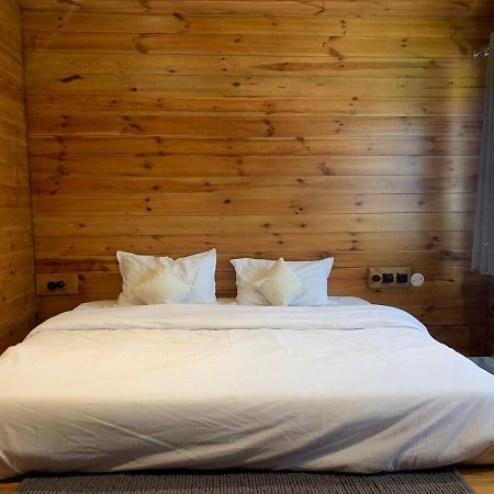 Firdaus Creative retreat&experiences Hostel Shimla Exterior foto