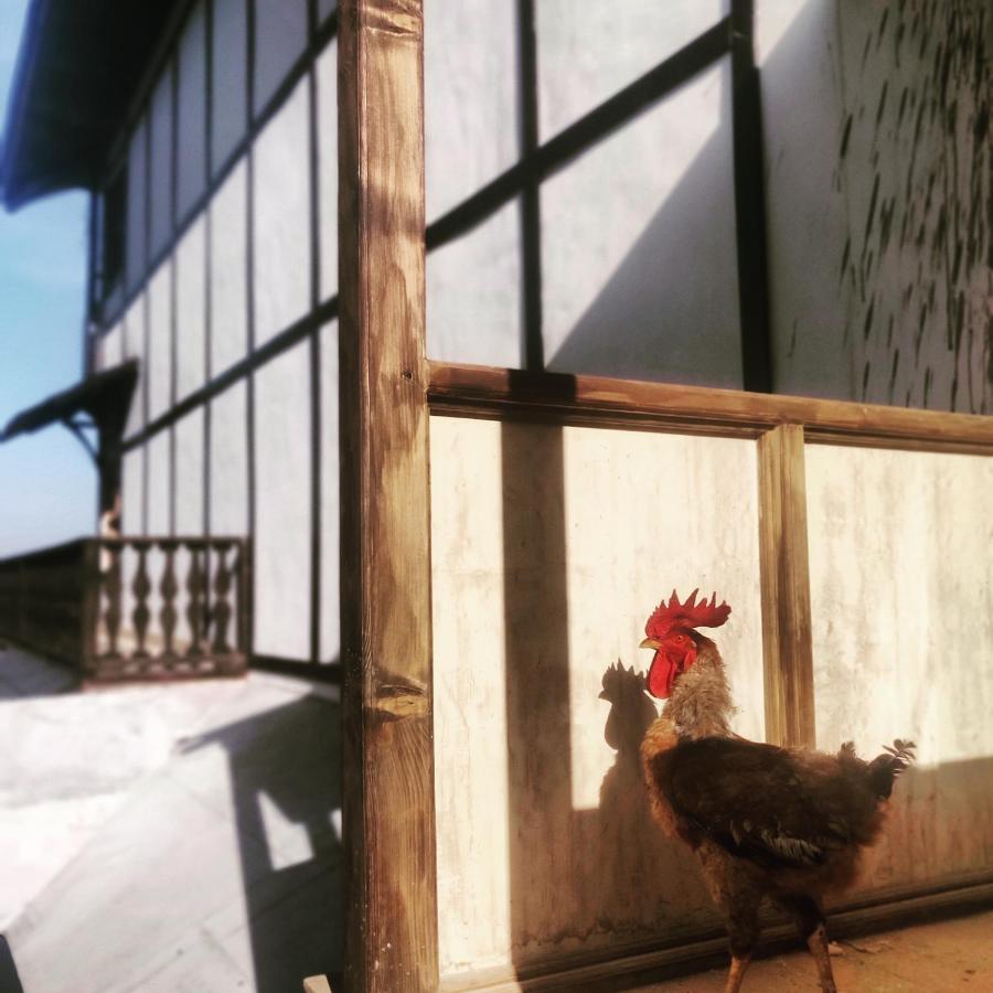Firdaus Creative retreat&experiences Hostel Shimla Exterior foto